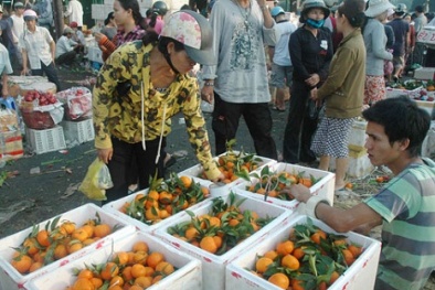 Mẹo nhanh phát hiện hàng Tàu đội lốt hàng Việt